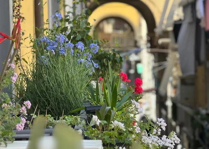 Bed and Breakfast Don Pietro 1927 Napoli